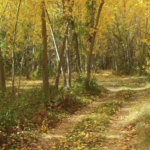 La fuerza reveladora de la necesidad