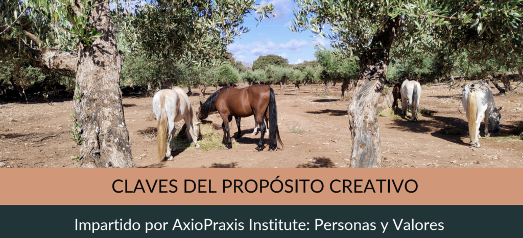 ACE ( Autoconocimiento para el encuentro)